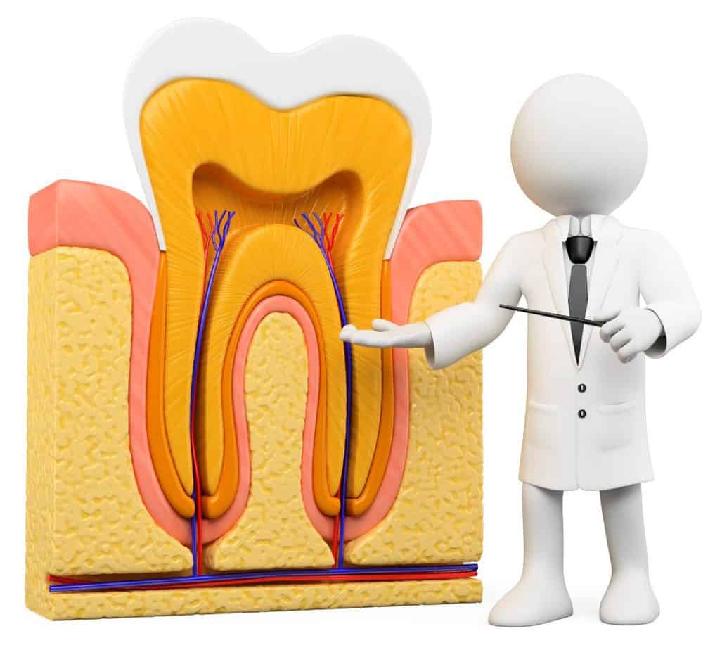 Root Canal Therapy - Which dental office is near me?